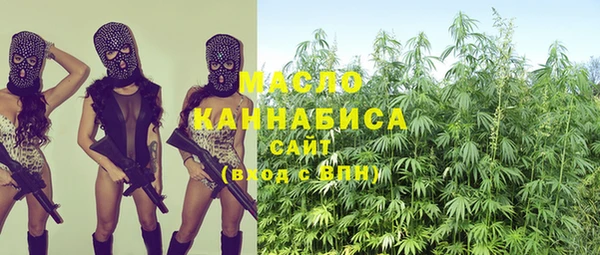 амф Бородино