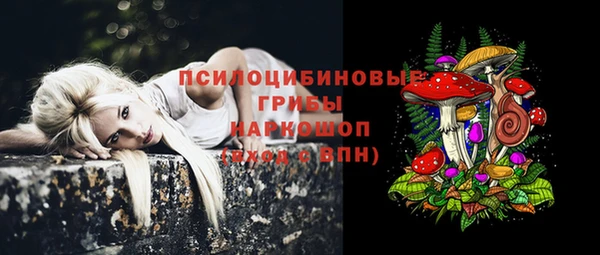 амф Богородицк