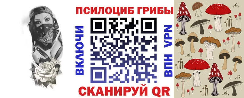 KRAKEN ONION  Свободный  Псилоцибиновые грибы прущие грибы 