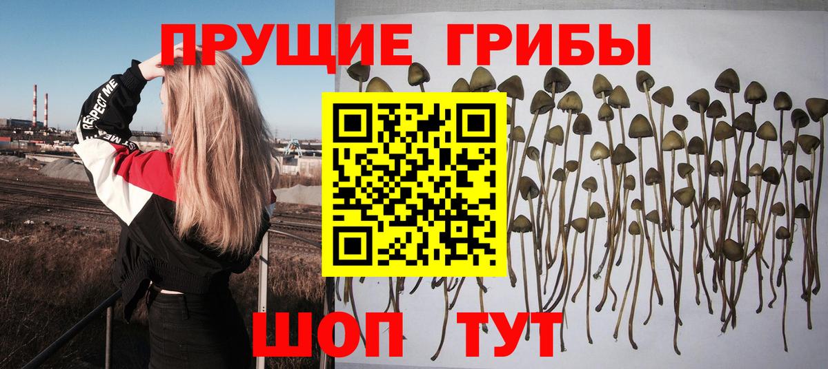 Псилоцибиновые грибы мухоморы Свободный