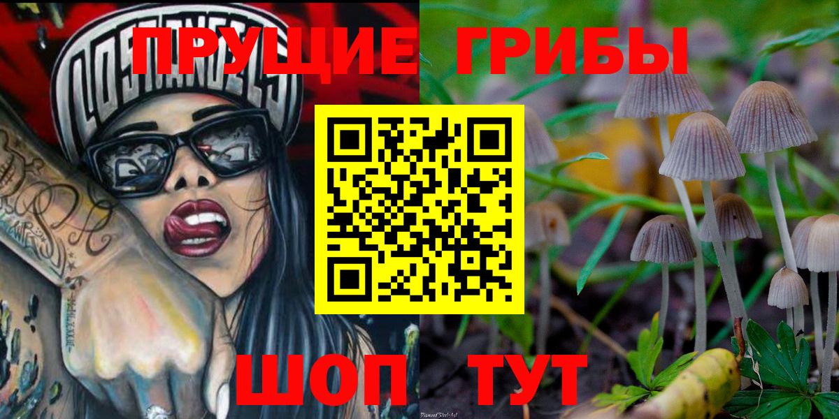Свободный  Псилоцибиновые грибы Cubensis  Вход с VPN 